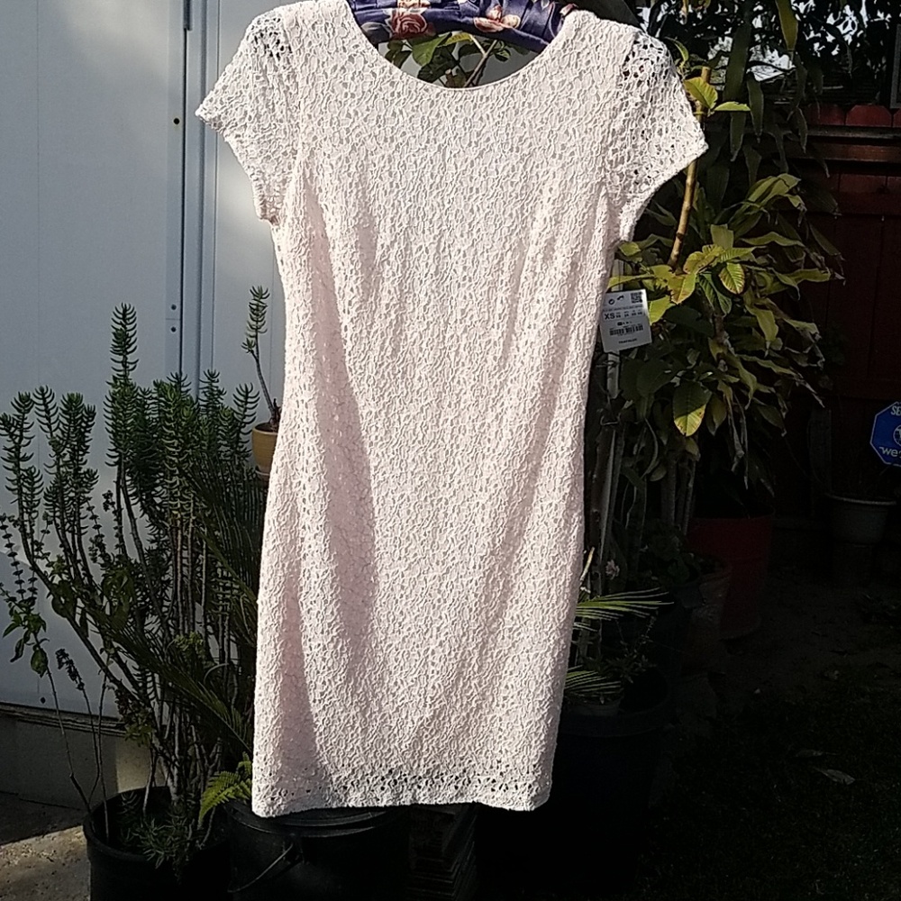 Zara Trafaluc lace Dress